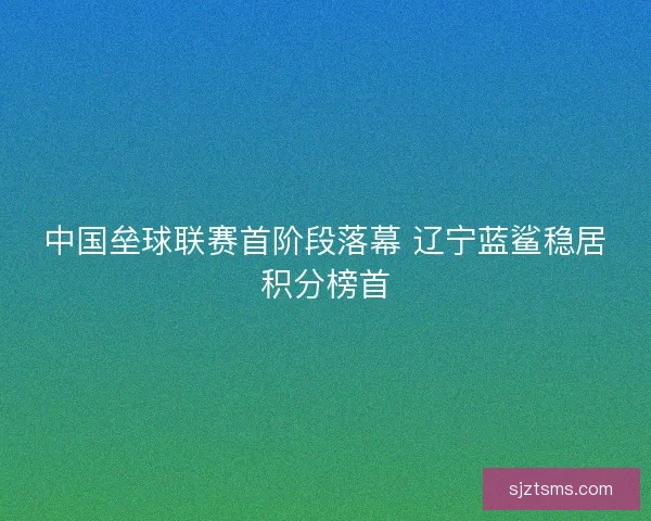 中国垒球联赛首阶段落幕 辽宁蓝鲨稳居积分榜首