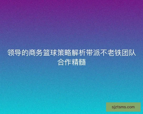 领导的商务篮球策略解析带派不老铁团队合作精髓