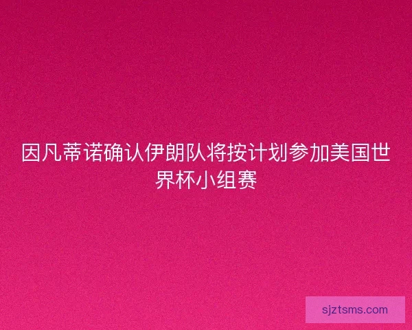 因凡蒂诺确认伊朗队将按计划参加美国世界杯小组赛
