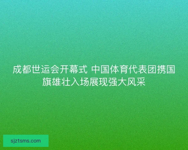 成都世运会开幕式 中国体育代表团携国旗雄壮入场展现强大风采
